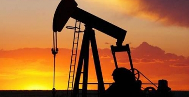 1605669659_7249_390,233x200