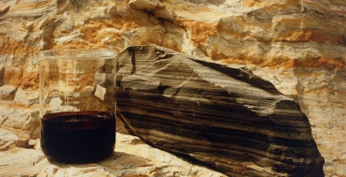 1605669699_5163_390,233x200