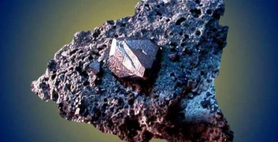 1605670092_3489_390,233x200